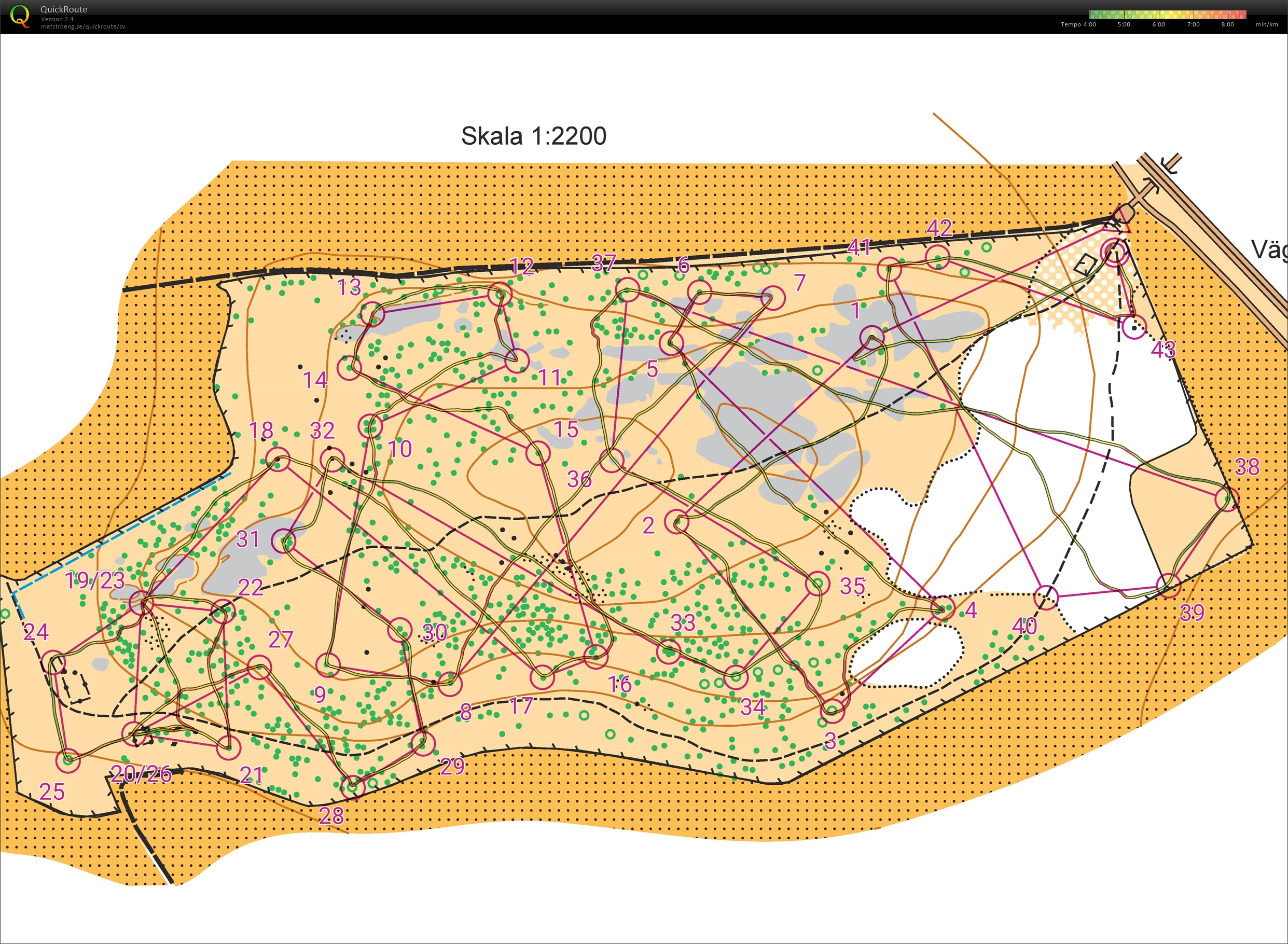Skogssprint (2019-06-20)