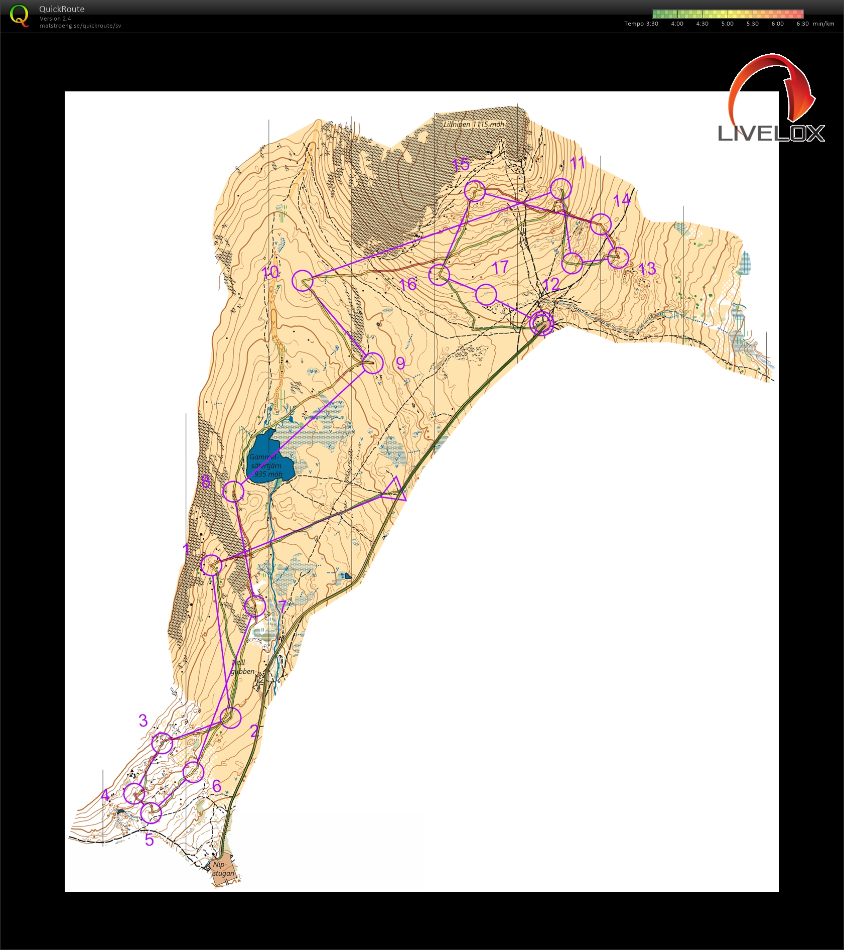 Fjäll-OL (2020-07-22)