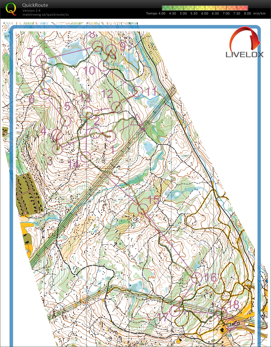 Fäbodloppet, Medel (2021-07-11)