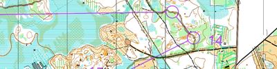 Gävleloppet, Lång