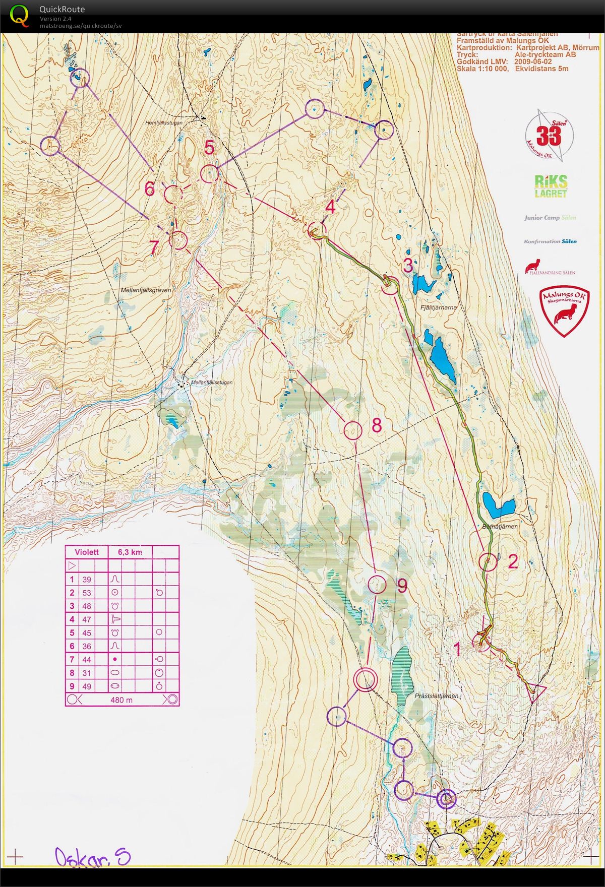 Fjäll-OL (2012-06-27)