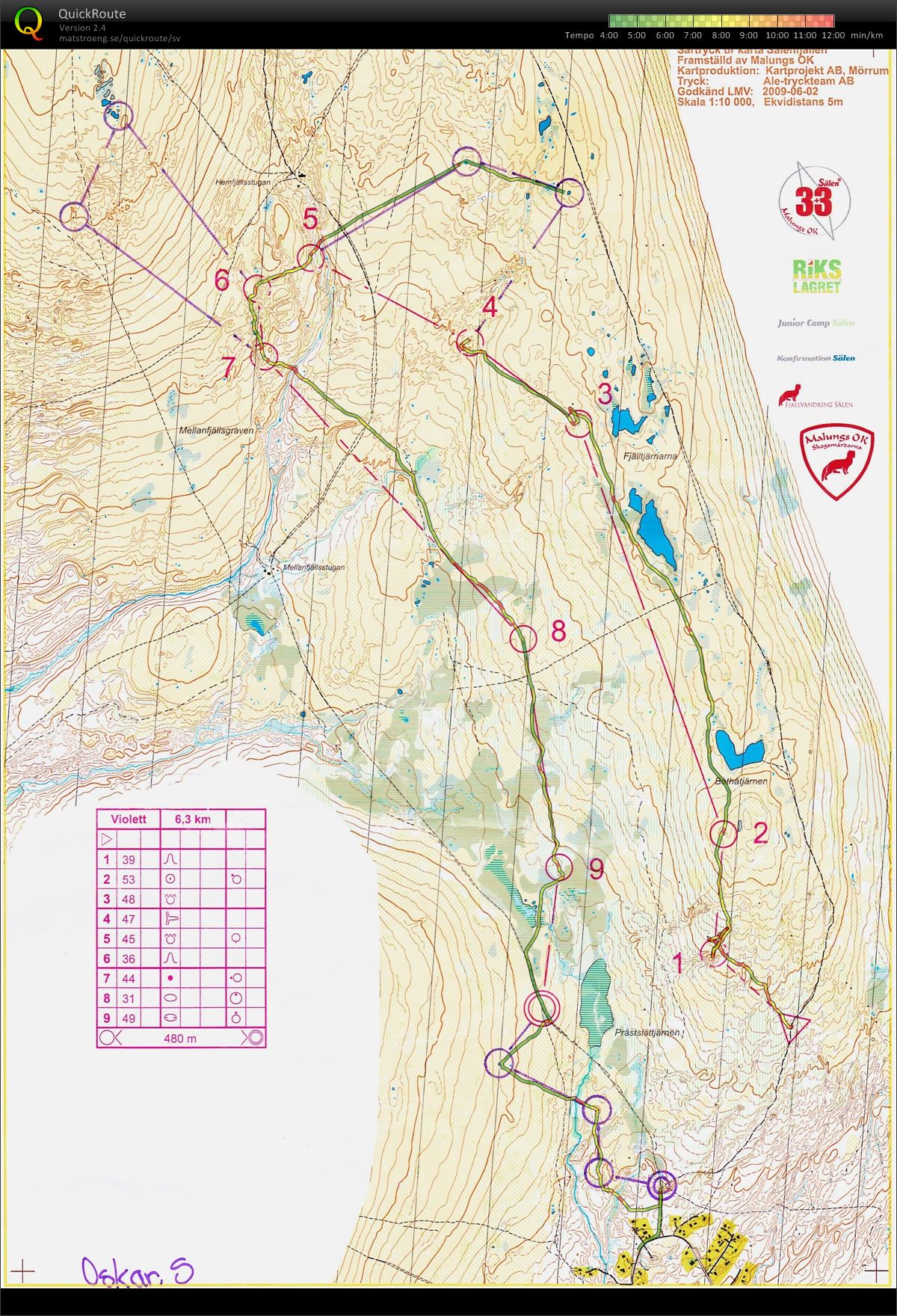 Fjäll-OL (2012-06-27)