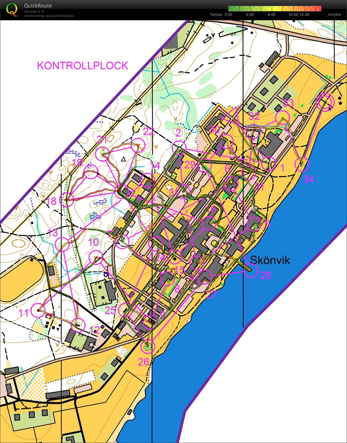 Kontrollplock Skönvik (2011-02-09)