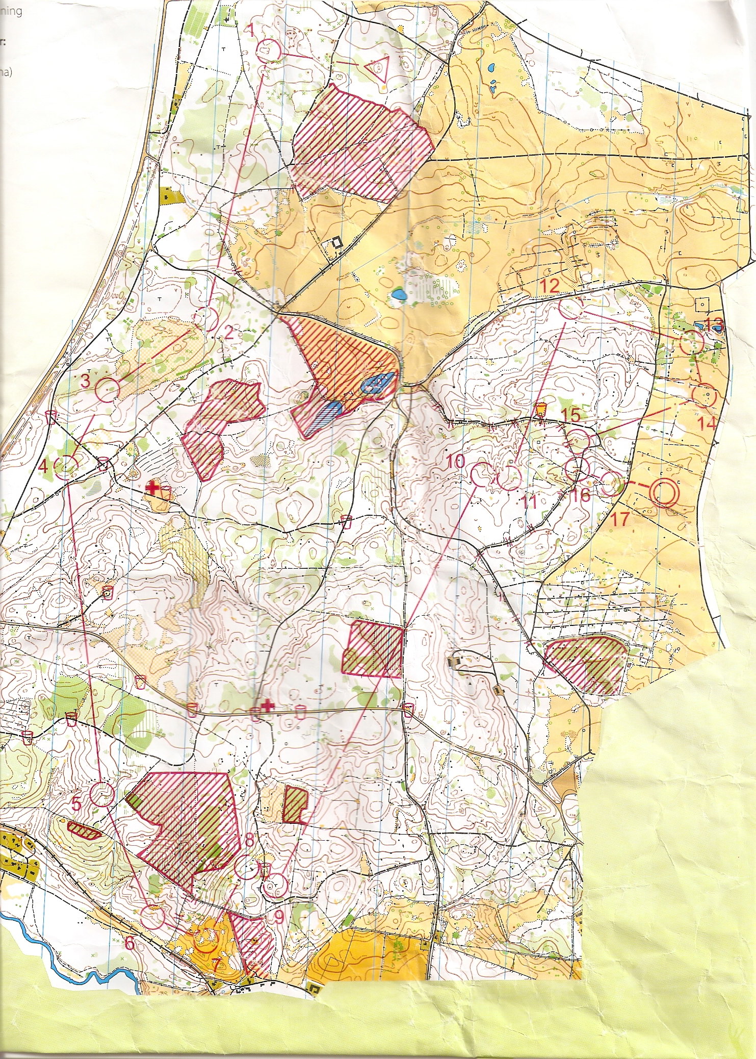 O-ringen, Etapp 5 (2014-07-25)