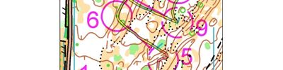 Microsprint