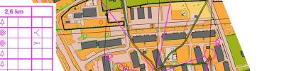 Borlängeträning Sprint del 1