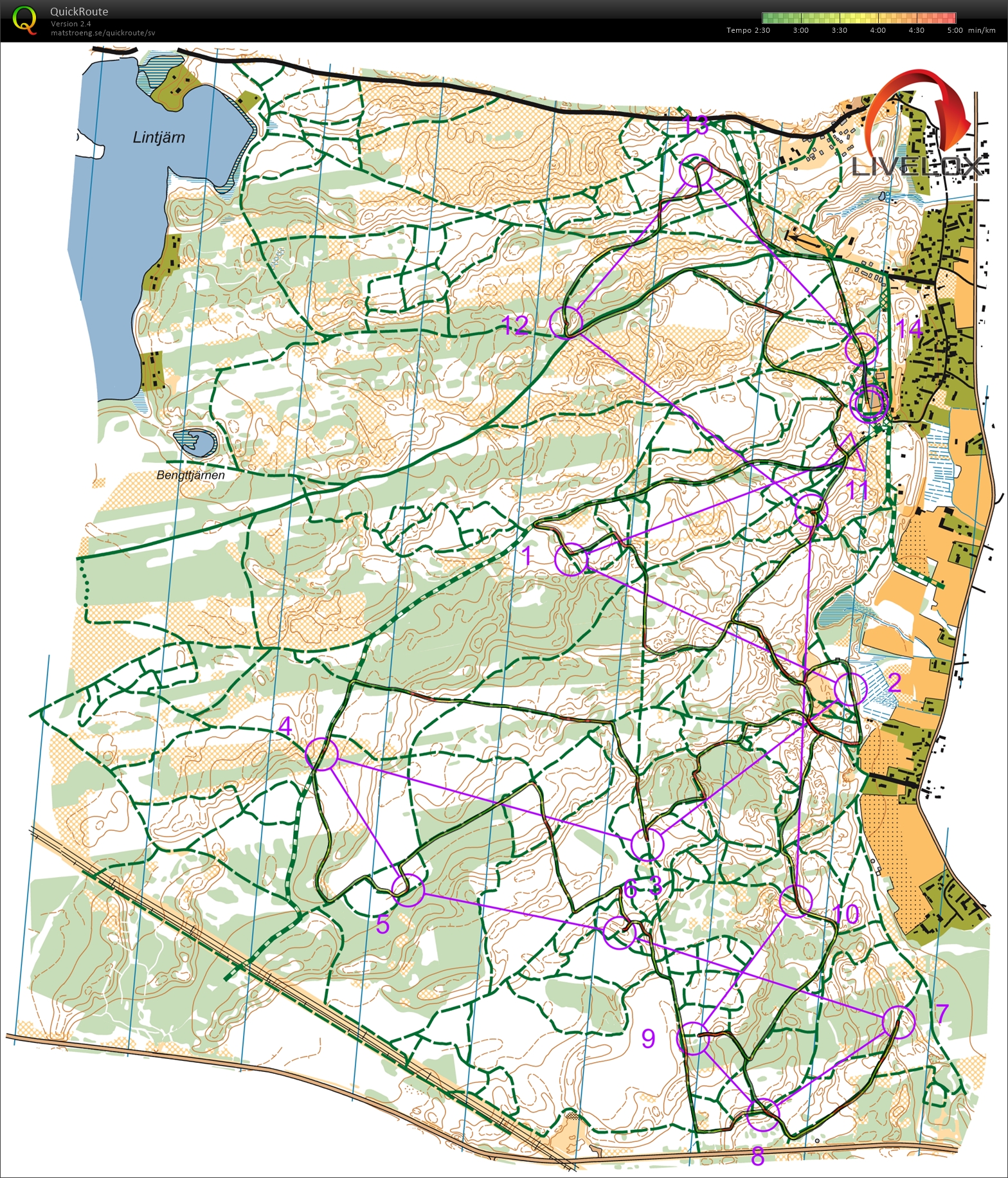 SkidO Mora, Medel (2019-01-12)